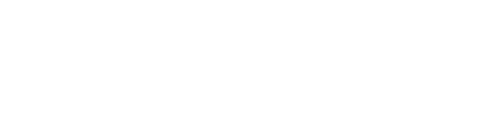 The Longinus Project